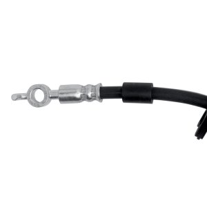 Ford Edge Brake Hose - Rear - R1 Concepts - `19-`24